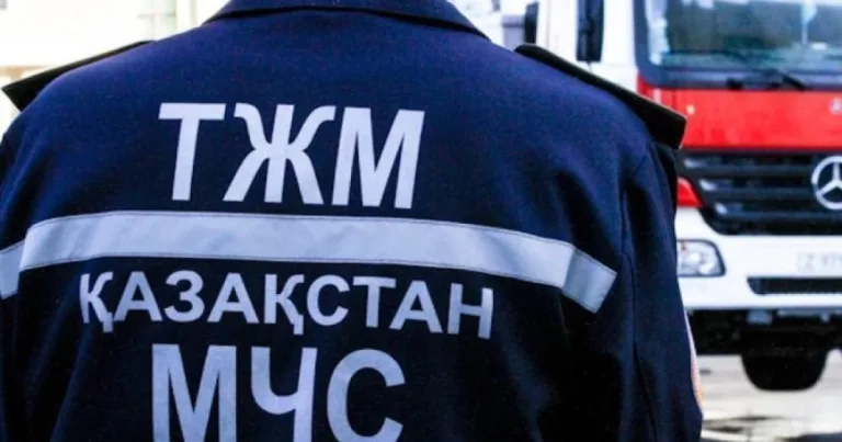 Шарын шатқалында құтқарушылар Үндістан азаматына көмек көрсетті