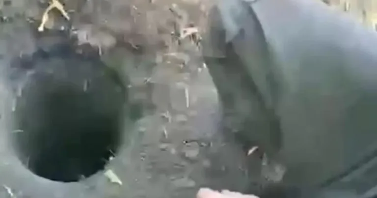 Қарағандыда бір жасар сәби шұңқырға құлап кетті